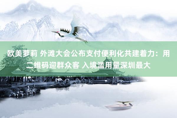 欧美萝莉 外滩大会公布支付便利化共建着力：用二维码迎群众客 入境滥用量深圳最大