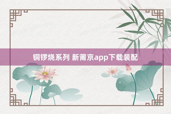 铜锣烧系列 新莆京app下载装配