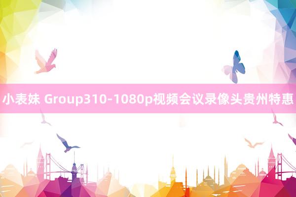 小表妹 Group310-1080p视频会议录像头贵州特惠