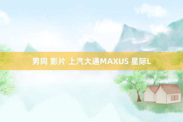 男同 影片 上汽大通MAXUS 星际L