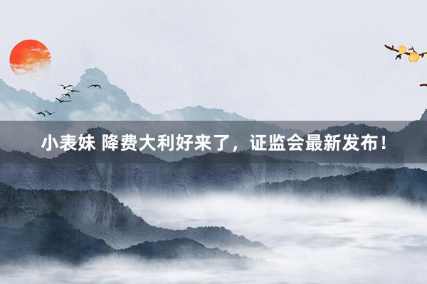 小表妹 降费大利好来了，证监会最新发布！