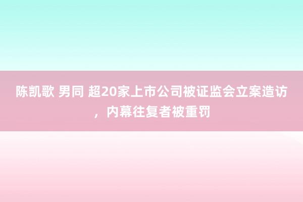 陈凯歌 男同 超20家上市公司被证监会立案造访，内幕往复者被重罚