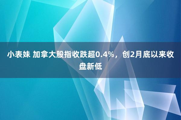 小表妹 加拿大股指收跌超0.4%，创2月底以来收盘新低