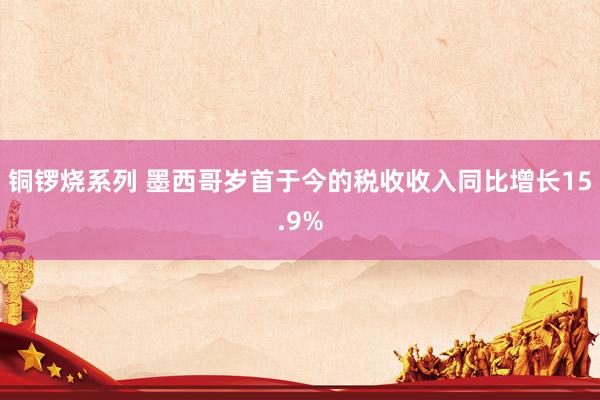 铜锣烧系列 墨西哥岁首于今的税收收入同比增长15.9%